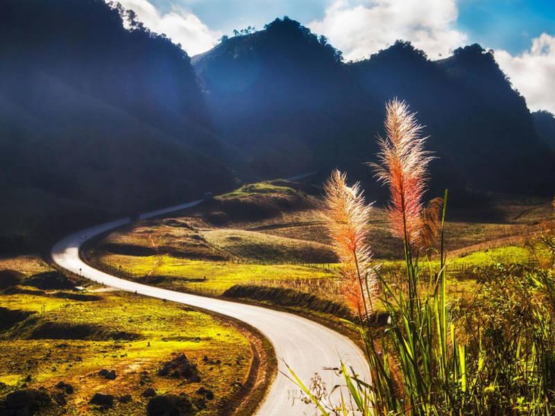 Experience Traveling to Moc Chau: Explore the Dreamy Northwestern Land 3