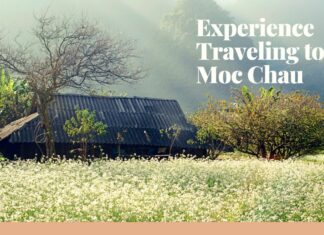 Travel to Moc Chau: Explore the Dreamy Northwestern Land Experience Traveling to Moc Chau: Explore the Dreamy Northwestern Land