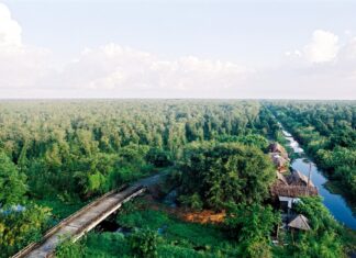 5 unique tourist attractions in Ca Mau showcasing the distinct beauty of Vietnamese tourism 5 unique tourist attractions in Ca Mau showcasing the distinct beauty of Vietnamese tourism