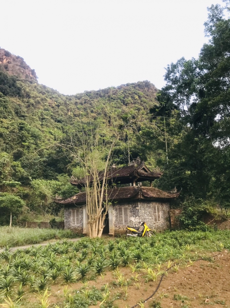 Cat Ba and Unique Experience: Overnight in Ancient Houses in the Forest for Over Half a Million VND 4