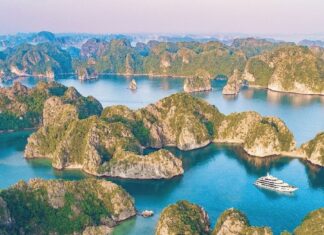 Cat Ba and Unique Experience: Overnight in Ancient Houses in the Forest for Over Half a Million VND