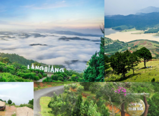 Exploring Langbiang Peak: Unique Experience at the “Roof of Dalat” Exploring Langbiang Peak: Unique Experience at the "Roof of Dalat"