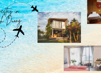 Homestays in Binh Duong: Experience an Amazing Stay in the New Land of Thu Dau Mot Homestay in Binh Duong