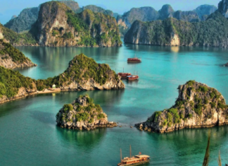 Discover the emerald gem: Tuan Chau Island discover-the-emerald-gem-tuan-chau-island2