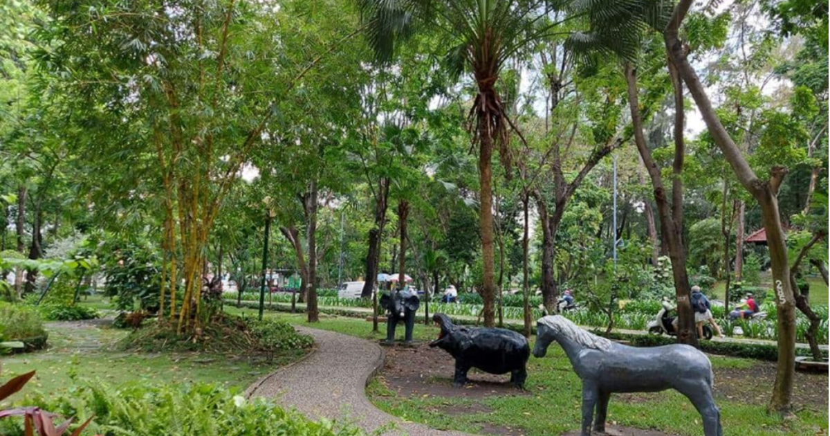 explore-hoang-van-thu-park-a-paradise-for-relaxation-in-the-heart-of-saigon5