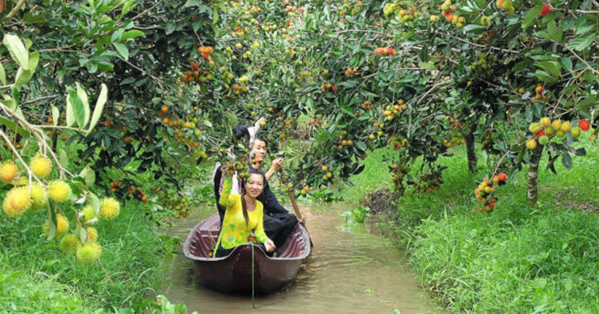 cai-rang-floating-market7