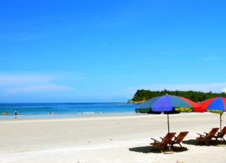 Explore Quan Lan – Where nature and culture converge explore-quan-lan-where-nature-and-culture-converge4