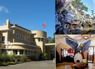 Hang Nga Villa: A creative architectural wonder in Da Lat hang-nga-villa-a-creative-architectural-wonder-in-da-lat1