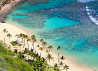 Cu Lao Cham – The wild beauty in the middle of the ocean cu-lao-cham-the-wild-beauty-in-the-middle-of-the-ocean3