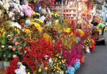 immerse-yourself-in-the-vibrant-atmosphere-of-ho-thi-ky-flower-market1