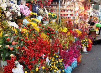 Immerse yourself in the vibrant atmosphere of Ho Thi Ky Flower Market immerse-yourself-in-the-vibrant-atmosphere-of-ho-thi-ky-flower-market1