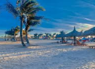 Exploring Do Son – An attractive destination in Hai Phong exploring-do-son-an-attractive-destination-in-hai-phong1