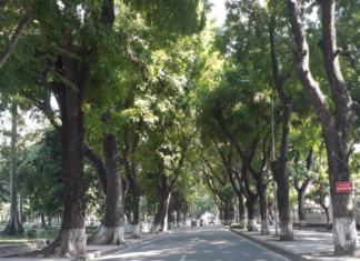 Hoang Dieu Street – The ultimate virtual paradise of Hanoi Hoang Dieu Street - The ultimate virtual paradise of Hanoi1