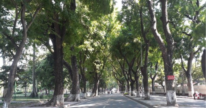 Hoang Dieu Street - The ultimate virtual paradise of Hanoi1