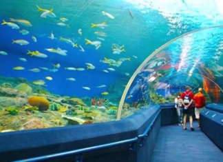 Explore the Oceanographic Institute from A to Z Explore the Oceanographic Institute from A to Z1