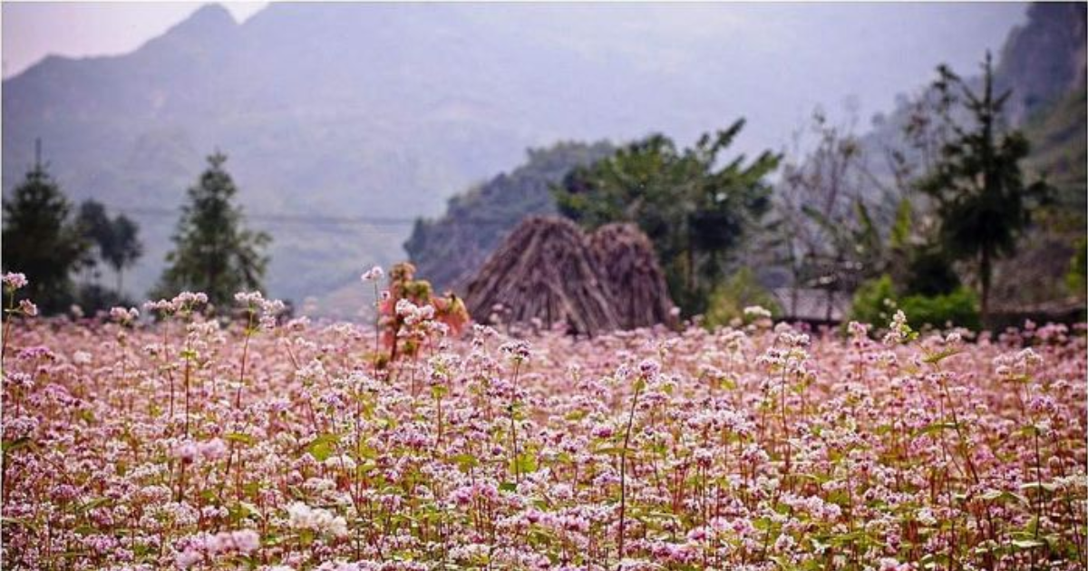 Ta Nung Pass in Da Lat - A mysterious route and majestic landscapes4