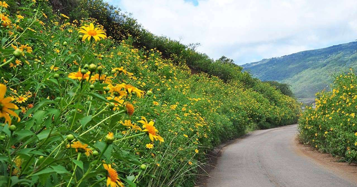 Ta Nung Pass in Da Lat - A mysterious route and majestic landscapes5