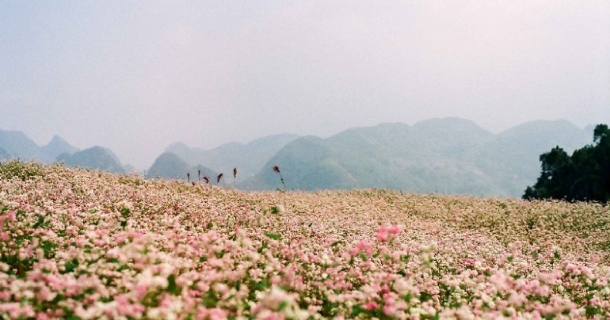 Ta Nung Pass in Da Lat - A mysterious route and majestic landscapes6